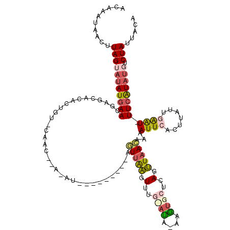 secondary structure