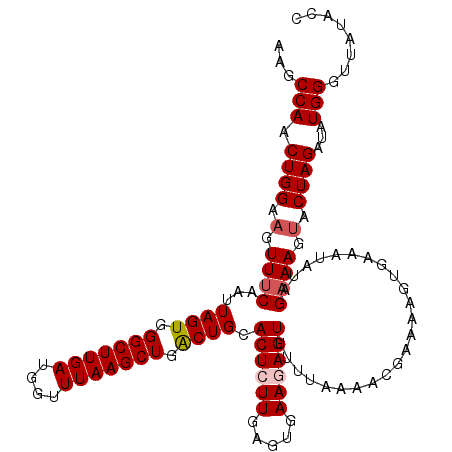 secondary structure