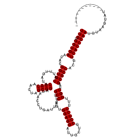 secondary structure