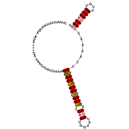 secondary structure