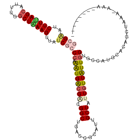secondary structure