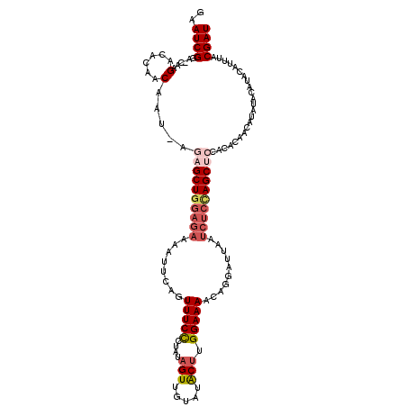 secondary structure