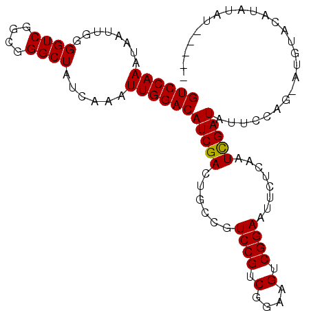 secondary structure