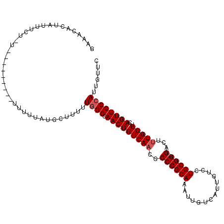 secondary structure