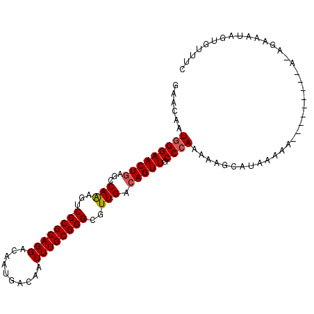 secondary structure