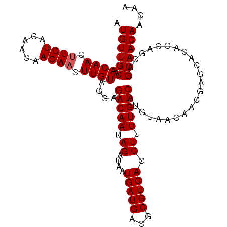 secondary structure