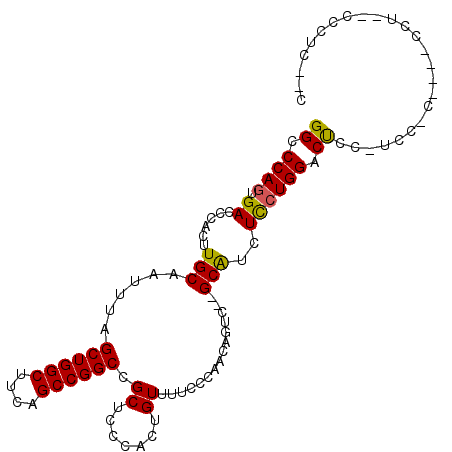 secondary structure