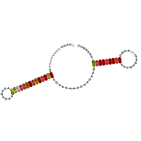 secondary structure