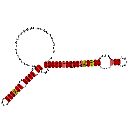 secondary structure