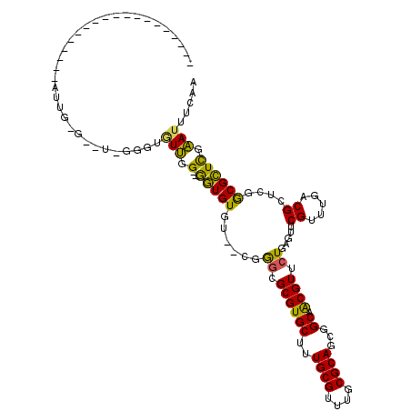 secondary structure