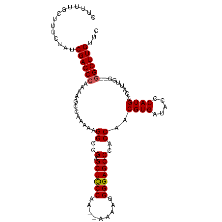 secondary structure