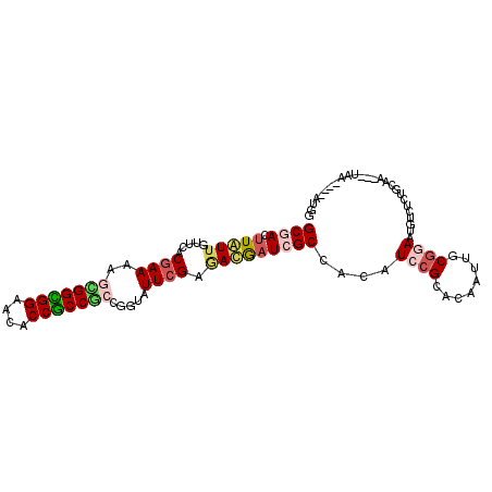 secondary structure