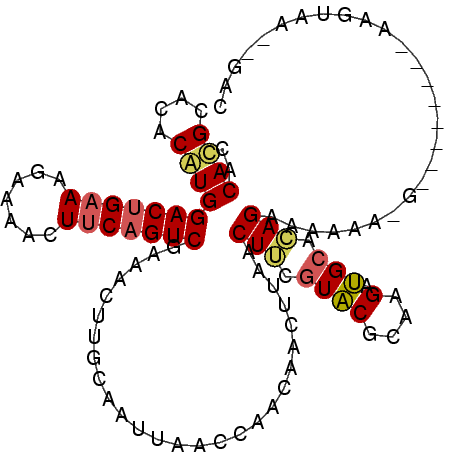 secondary structure