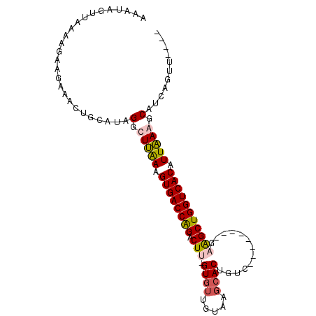 secondary structure