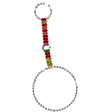 secondary structure