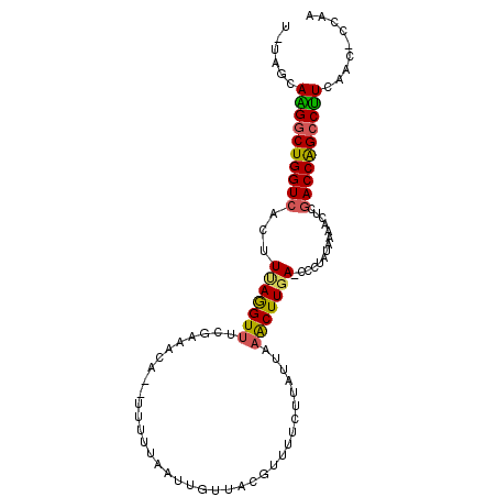 secondary structure