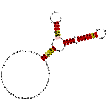 secondary structure