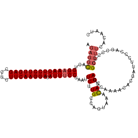 secondary structure