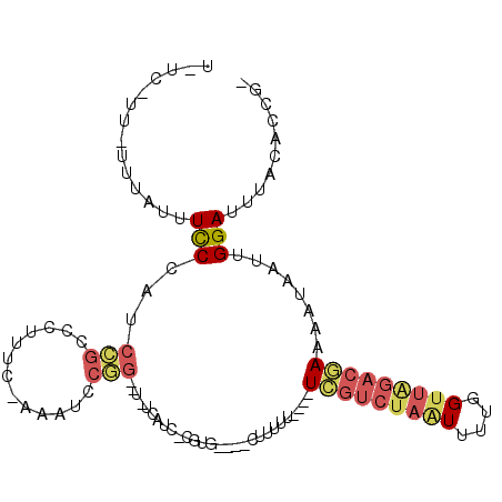 secondary structure