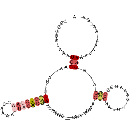 secondary structure