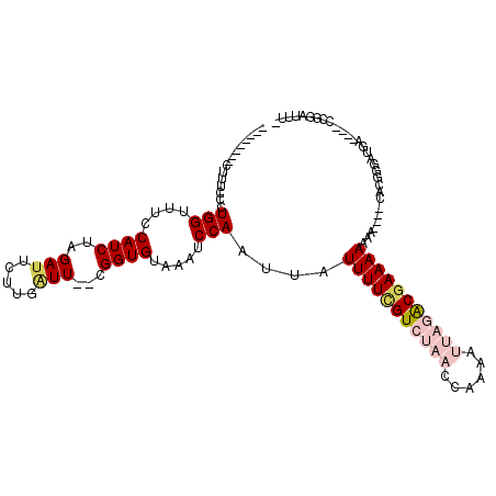secondary structure