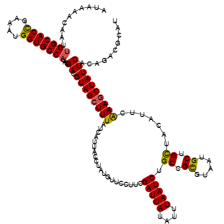 secondary structure
