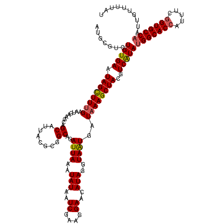 secondary structure