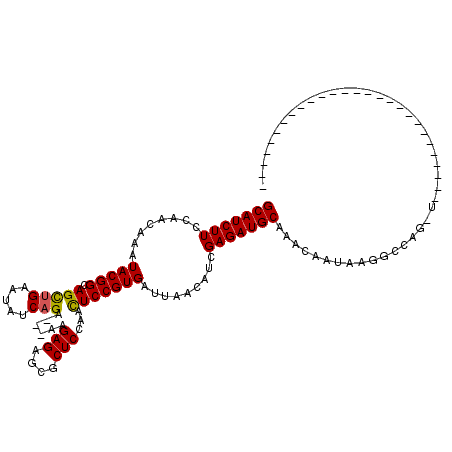 secondary structure