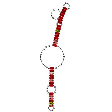 secondary structure
