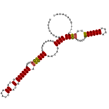 secondary structure
