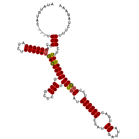 secondary structure