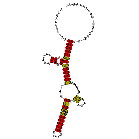 secondary structure