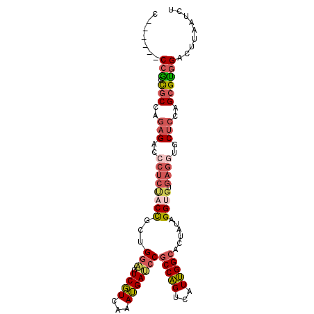 secondary structure
