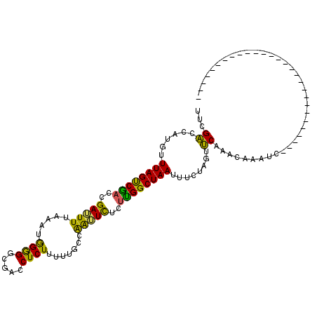 secondary structure