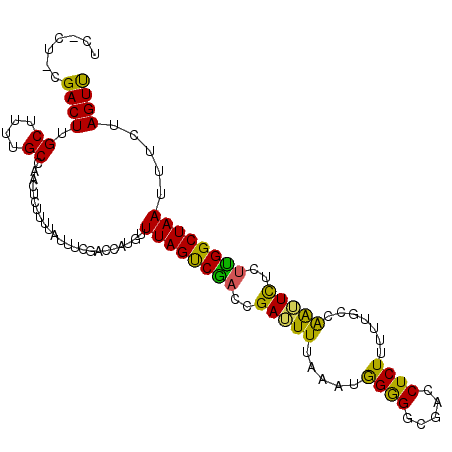secondary structure