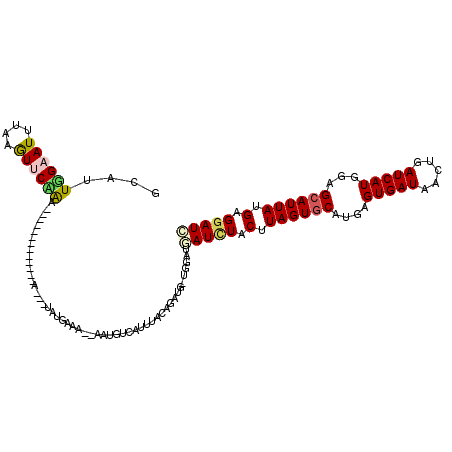 secondary structure