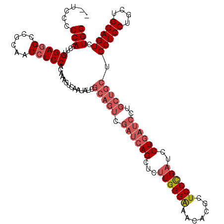 secondary structure