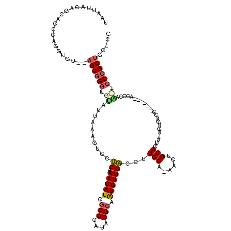 secondary structure