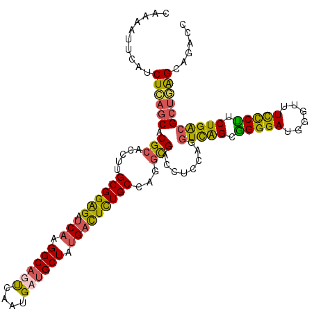secondary structure