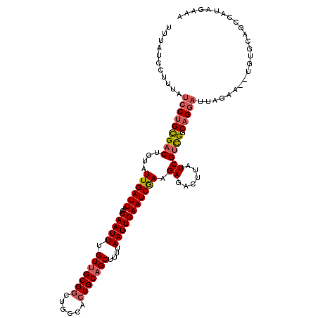 secondary structure