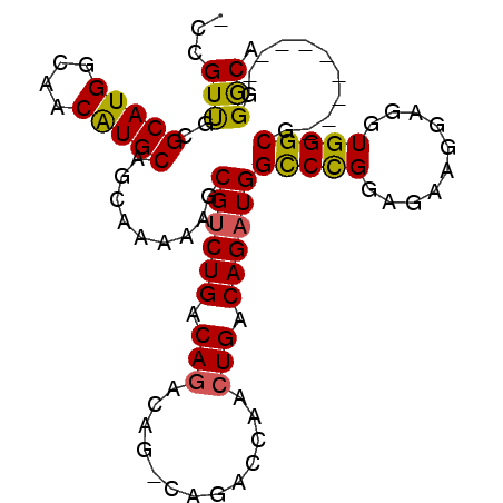 secondary structure