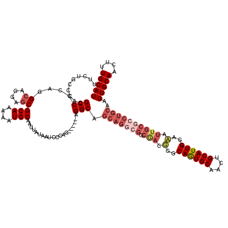 secondary structure