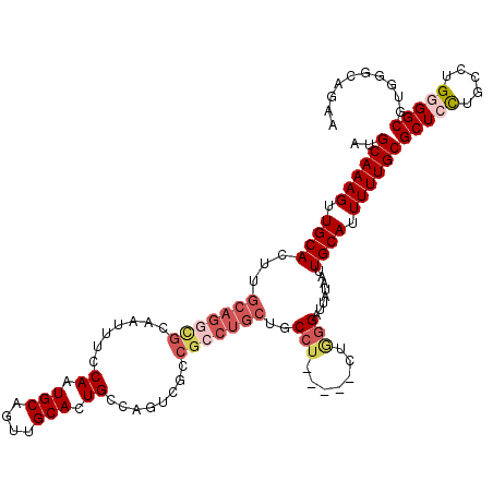 secondary structure