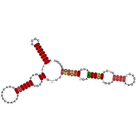 secondary structure