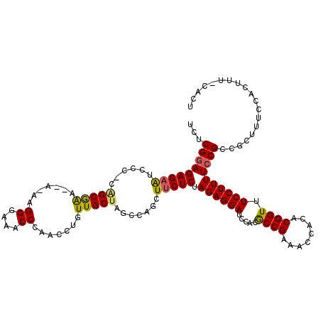 secondary structure