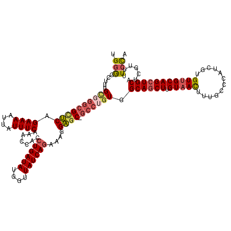 secondary structure