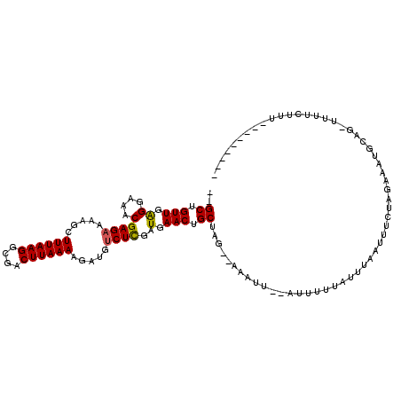 secondary structure