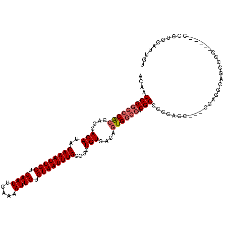 secondary structure