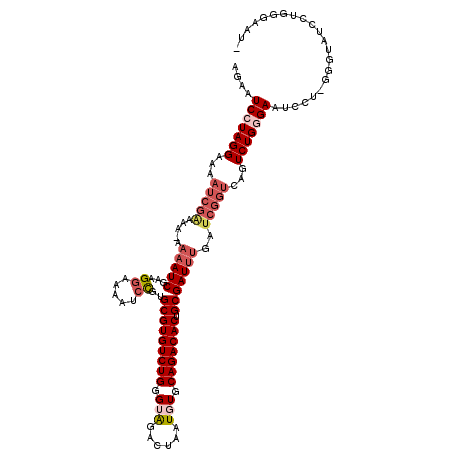 secondary structure