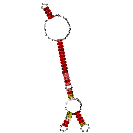 secondary structure